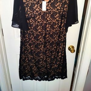 BNWT Connected Apparel lace flutter sleeve dress